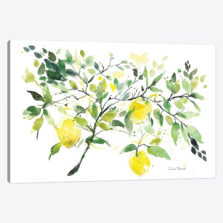 Lemon Branch Canvas Print #CBI37} by Claudia Bianchi Art Print