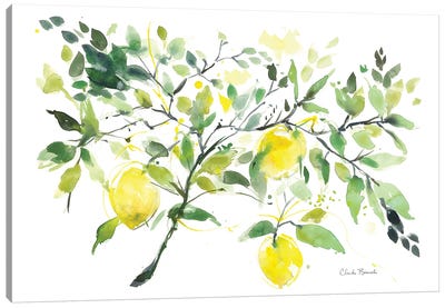 Lemon Branch Canvas Art Print - Food & Drink Art