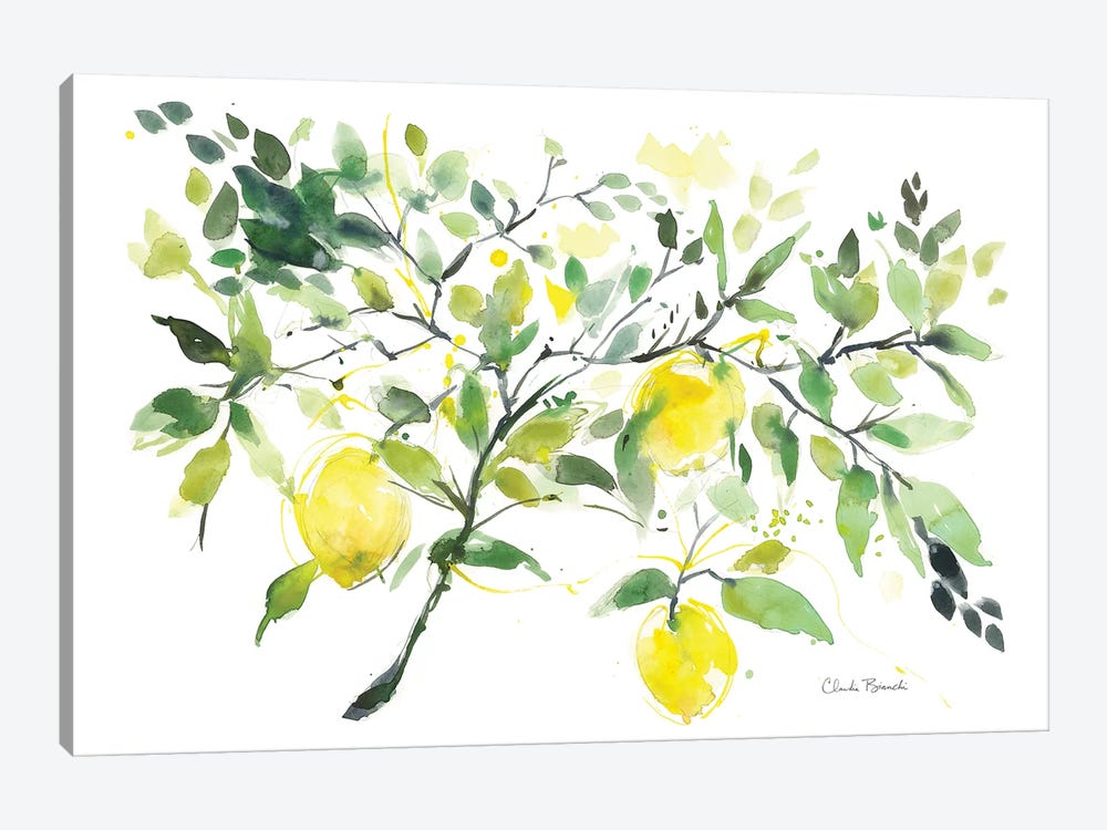 Lemon Branch by Claudia Bianchi 1-piece Art Print