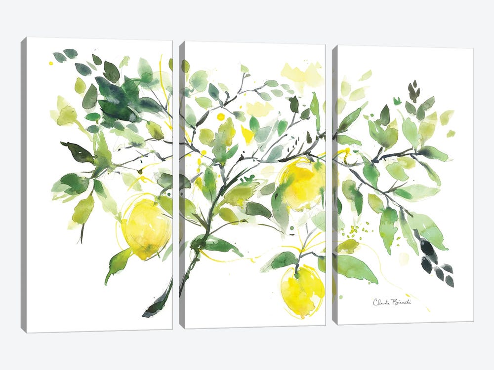 Lemon Branch by Claudia Bianchi 3-piece Canvas Print