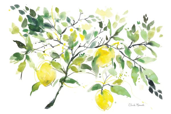 French Country Décor: Lemon Branch by Claudia Bianchi