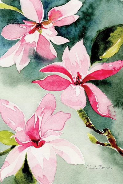 Magnolias by Claudia Bianchi art print
