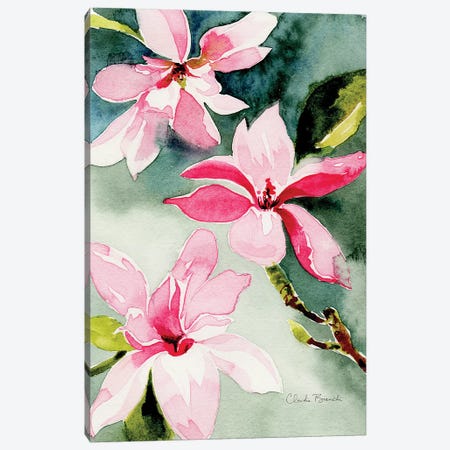 Magnolias Canvas Print #CBI38} by Claudia Bianchi Canvas Art