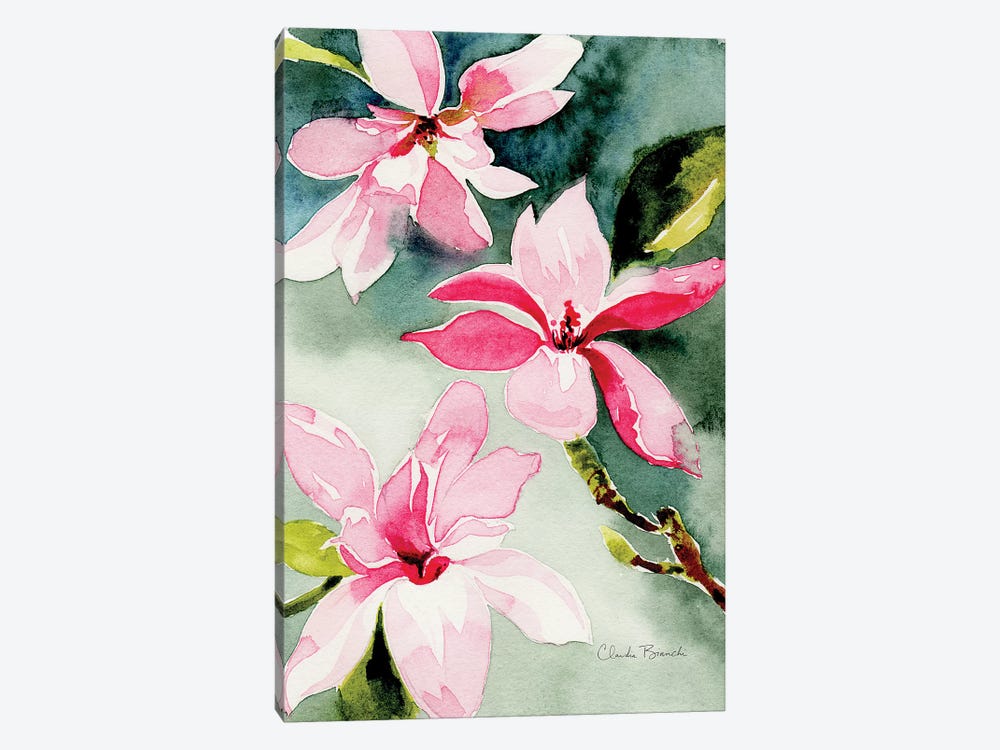 Magnolias by Claudia Bianchi 1-piece Canvas Artwork