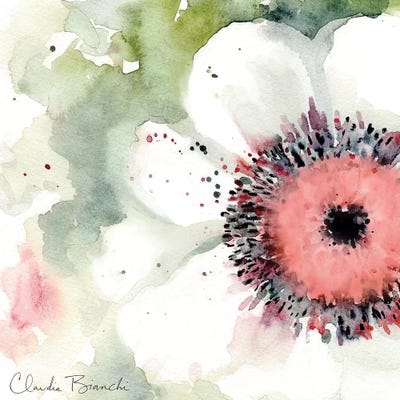 Anemonie by Claudia Bianchi canvas print