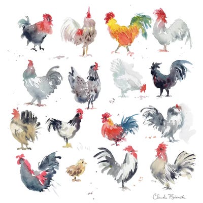 Mini Chickens by Claudia Bianchi acrylic art print