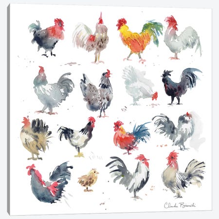 Mini Chickens Canvas Print #CBI40} by Claudia Bianchi Canvas Art Print