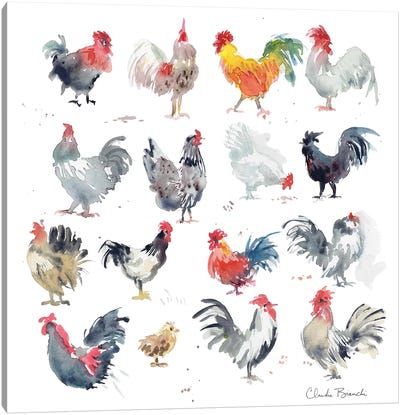 Mini Chickens Canvas Art Print - Claudia Bianchi