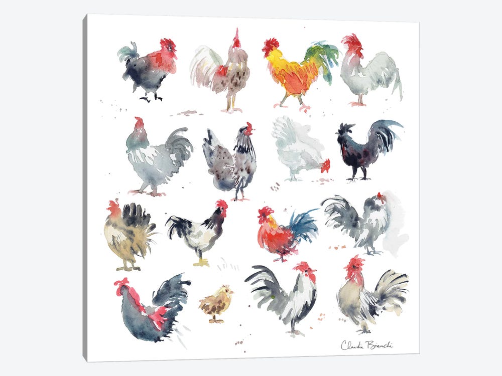 Mini Chickens by Claudia Bianchi 1-piece Canvas Print