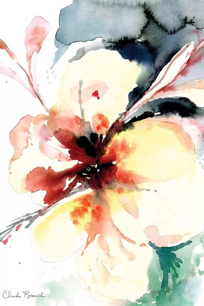 Orchidees II by Claudia Bianchi art print