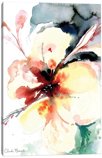 Orchidees II Canvas Art Print - Claudia Bianchi