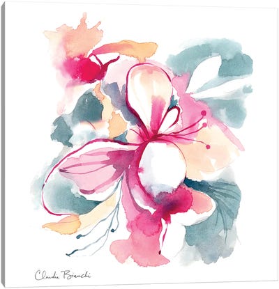Orchidees III Canvas Art Print - Claudia Bianchi