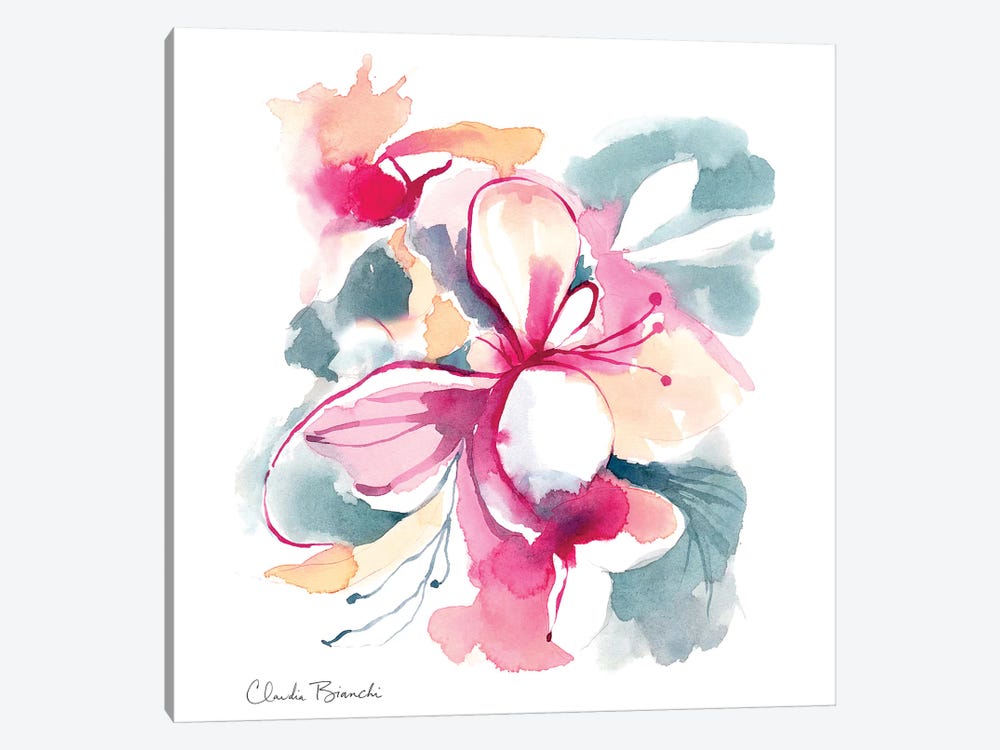 Orchidees III by Claudia Bianchi 1-piece Canvas Art