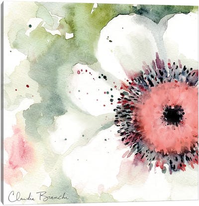 Anemonie Canvas Art Print - Claudia Bianchi