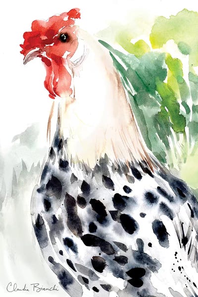 Modern Farmhouse Décor: Silver Spangled Hamburg by Claudia Bianchi