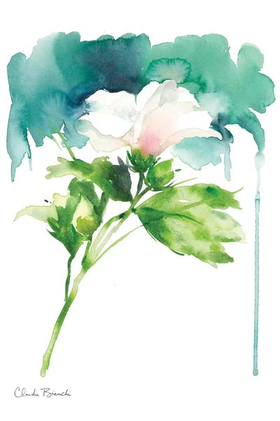Abstract Watercolors: Single Rose Of Sharron by Claudia Bianchi
