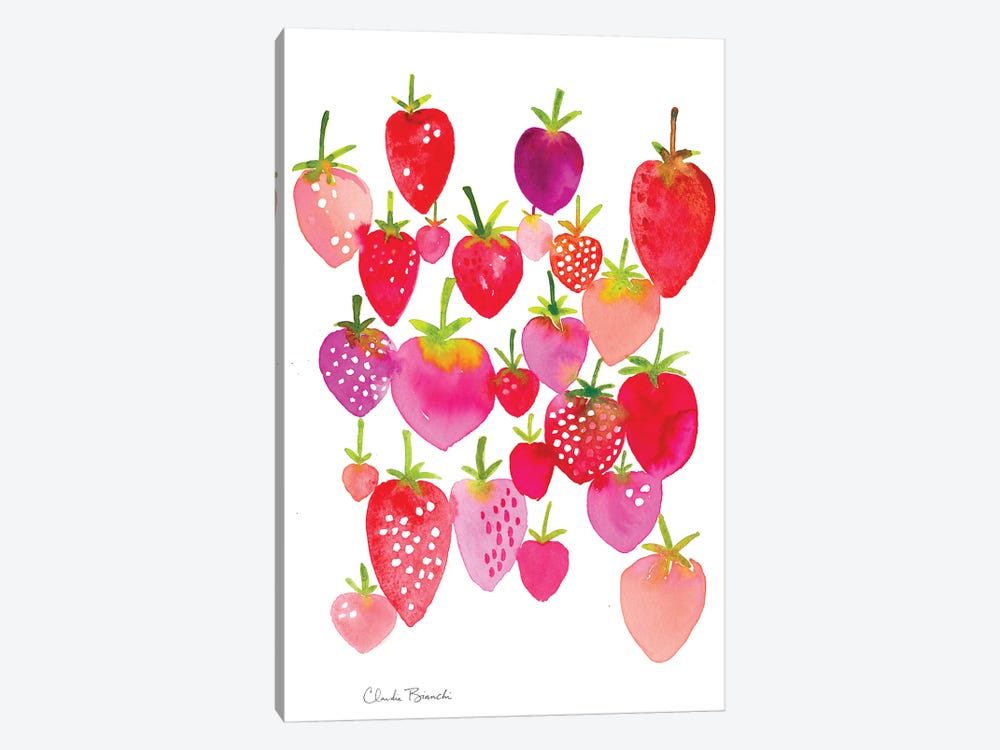 Strawberry Fields by Claudia Bianchi 1-piece Canvas Print