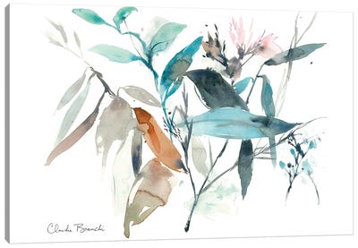 Watercolor Bloom Ii Canvas Art Print - Claudia Bianchi
