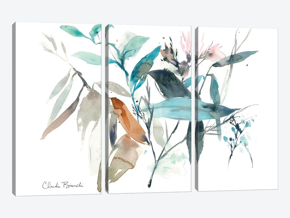Watercolor Bloom Ii by Claudia Bianchi 3-piece Canvas Wall Art