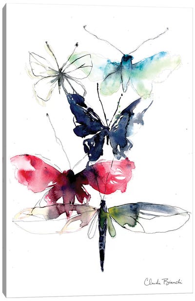 Wing Study Canvas Art Print - Claudia Bianchi