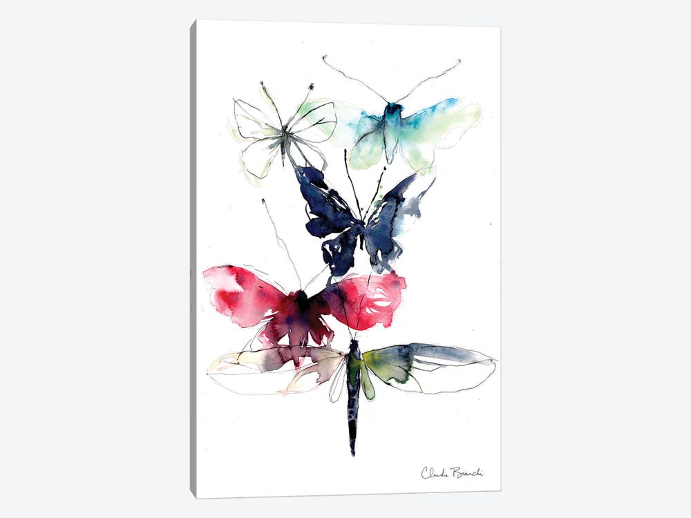 Wing Study by Claudia Bianchi 1-piece Canvas Art Print