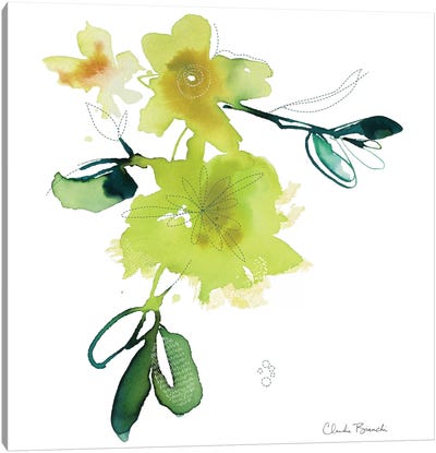 Yellow Botanical Canvas Art Print - Claudia Bianchi