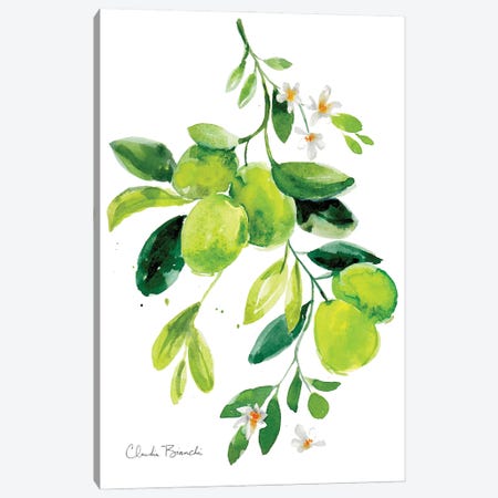 Limes Canvas Print #CBI90} by Claudia Bianchi Canvas Wall Art