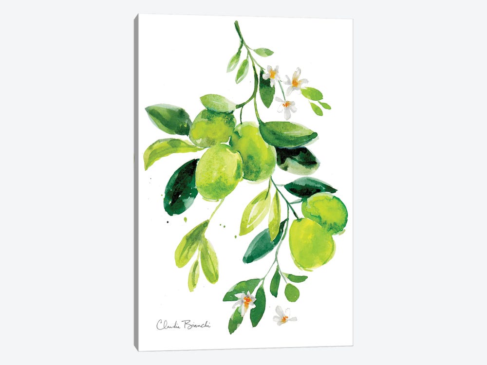 Limes by Claudia Bianchi 1-piece Canvas Artwork