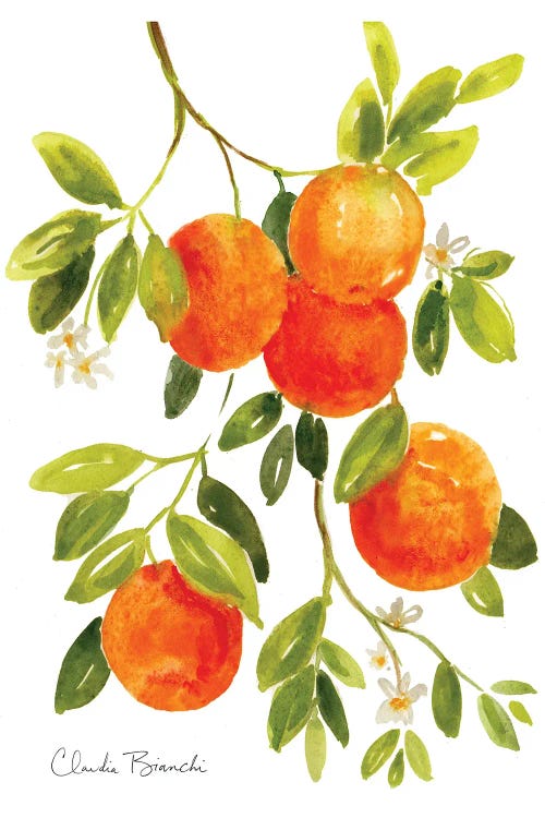 Oranges