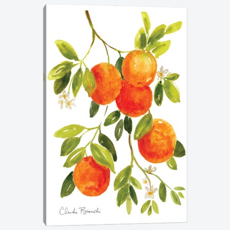 Oranges Canvas Print #CBI91} by Claudia Bianchi Canvas Art