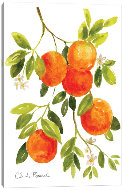 Oranges Canvas Art Print - Claudia Bianchi
