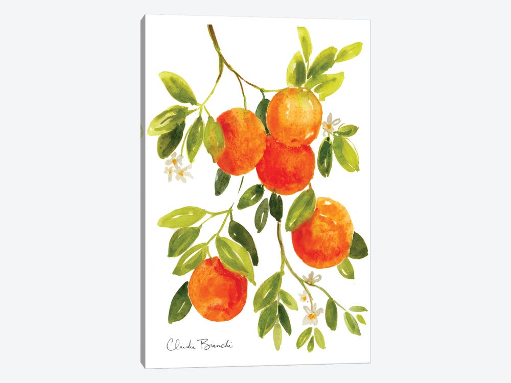 Oranges by Claudia Bianchi 1-piece Art Print