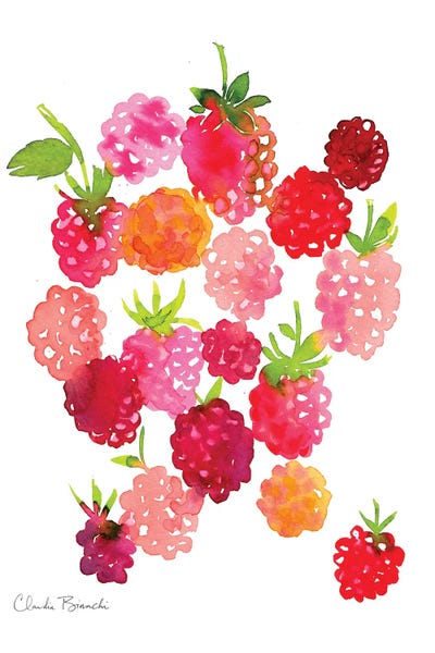 Rasperies by Claudia Bianchi framed wall art