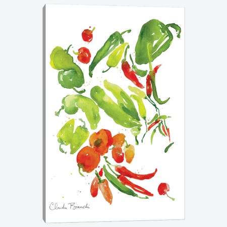 Salsa Garden Canvas Print #CBI95} by Claudia Bianchi Art Print
