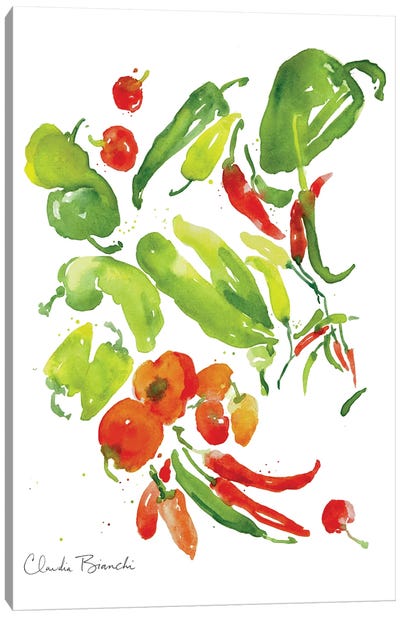 Salsa Garden Canvas Art Print - Claudia Bianchi