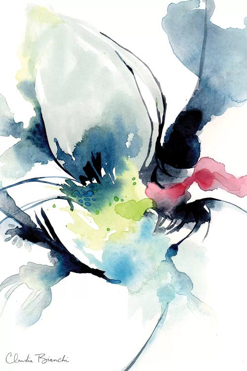 Black Swan by Claudia Bianchi wall art