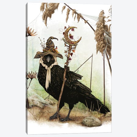 The Crow Of Crescent Hill Canvas Print #CBK18} by Cheryl Baker Canvas Artwork