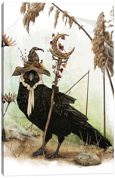 The Crow Of Crescent Hill Canvas Art Print - Wizards