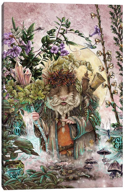 The Druid Of Hampshire Canvas Art Print - Cheryl Baker