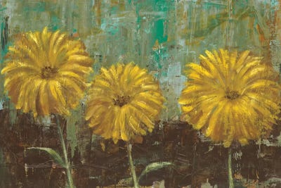 Morning Gold II by Carol Black canvas print