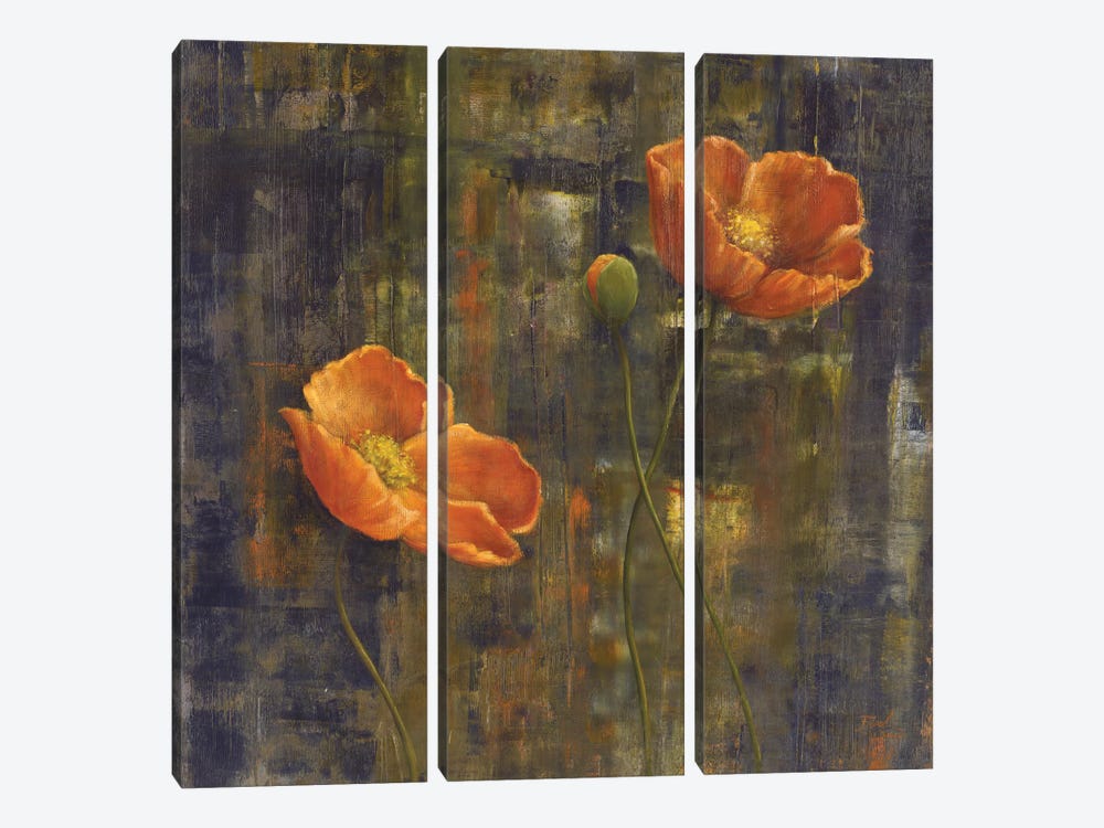 Iceland Poppies I 3-piece Canvas Wall Art