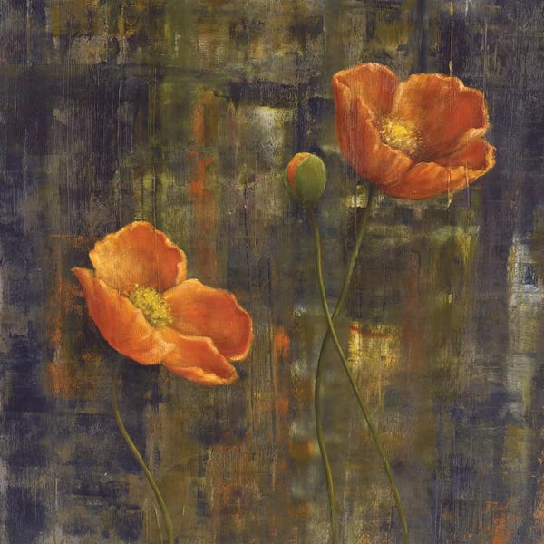 Carol Black: Iceland Poppies I by Carol Black
