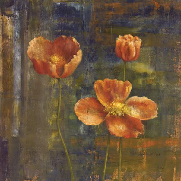 Poppies: Iceland Poppies II by Carol Black
