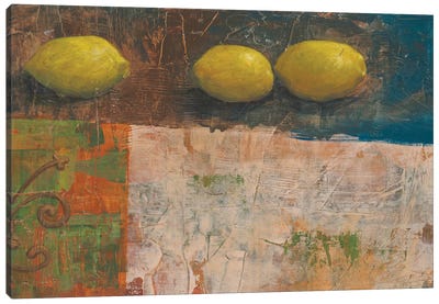 Lemon Medley I Canvas Art Print - Lemon & Lime Art