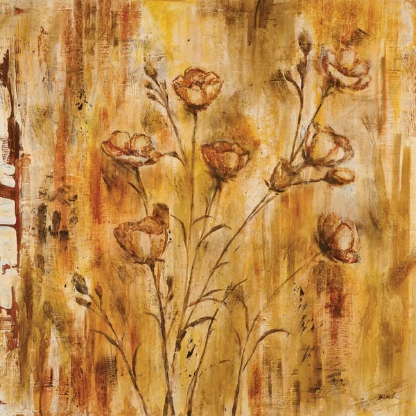 Carol Black: Meadow Dance II by Carol Black