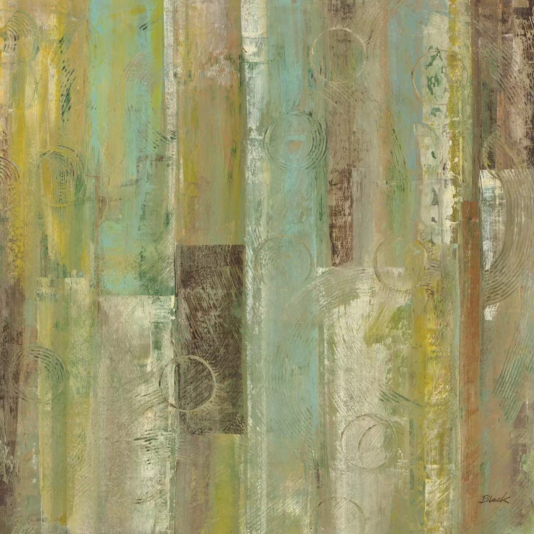 Minor Planets I by Carol Black canvas print