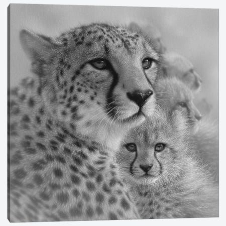 Cheetah Mother's Love in Black & White Canvas Print #CBO101} by Collin Bogle Canvas Artwork