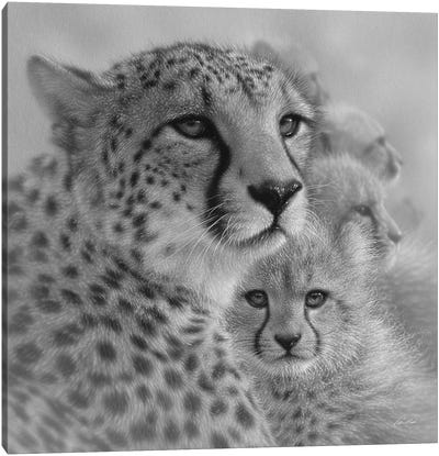 Cheetah Mother's Love in Black & White Canvas Art Print - Cheetah Art