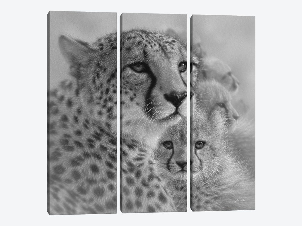 Cheetah Mother's Love in Black & White by Collin Bogle 3-piece Canvas Artwork