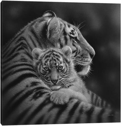 Cherished Tiger Cub In Black & White Canvas Art Print - Togetherness Through Art